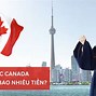 Các Ngành Học Của Canada 2024 Là Bao Nhiêu Tuổi