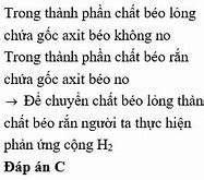 Chất Béo Rắn