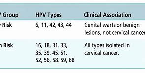 Hpv Type 58 Gây Bệnh Gì