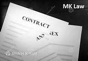 Mẫu Annex Contract