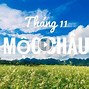 Mộc Châu Tháng 11 Có Gì